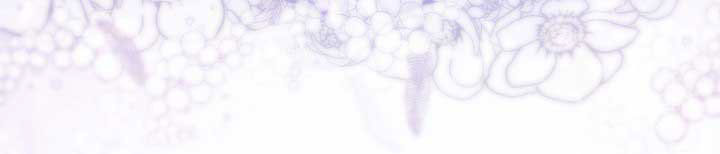 từ lúc bắt đầu tôi vẫn luôn ở bên em chapter 47.1 501