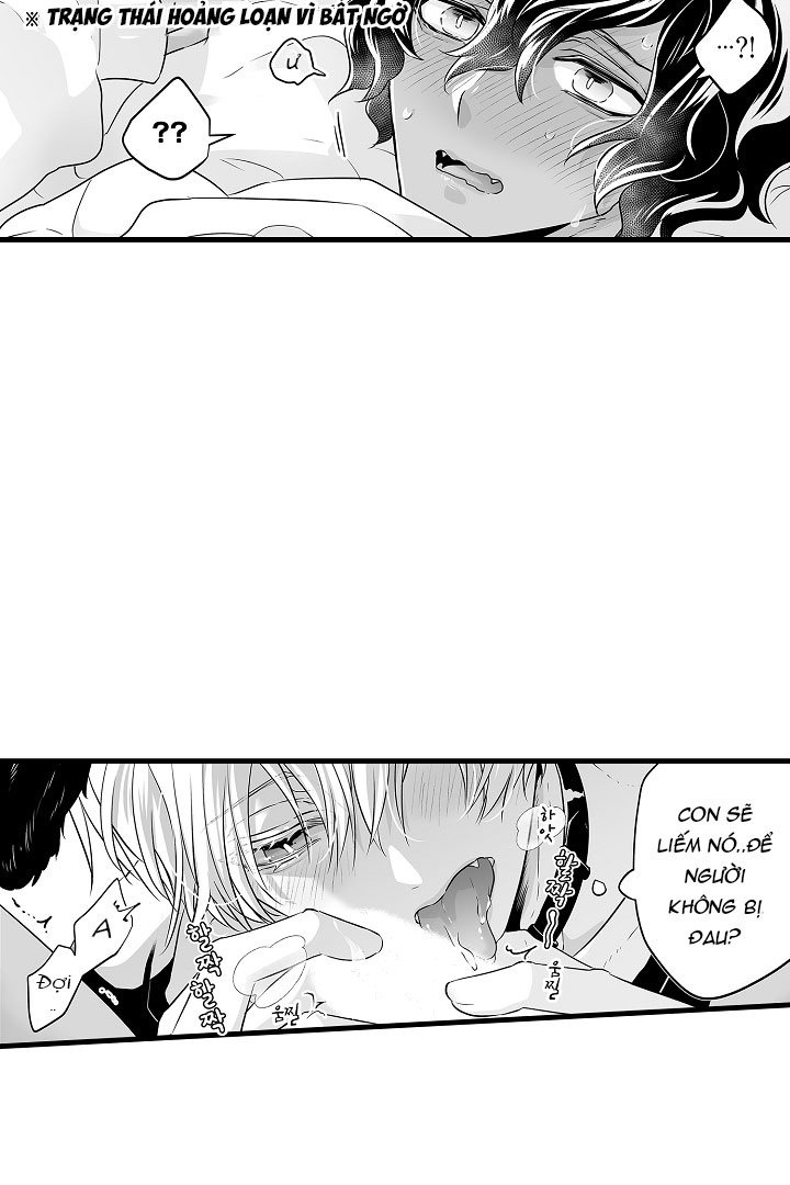 gấu ngủ đông chapter 11.1 13