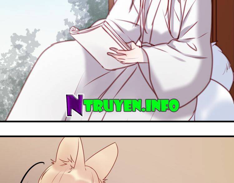 lượm được 1 tiểu hồ ly chapter 61 60