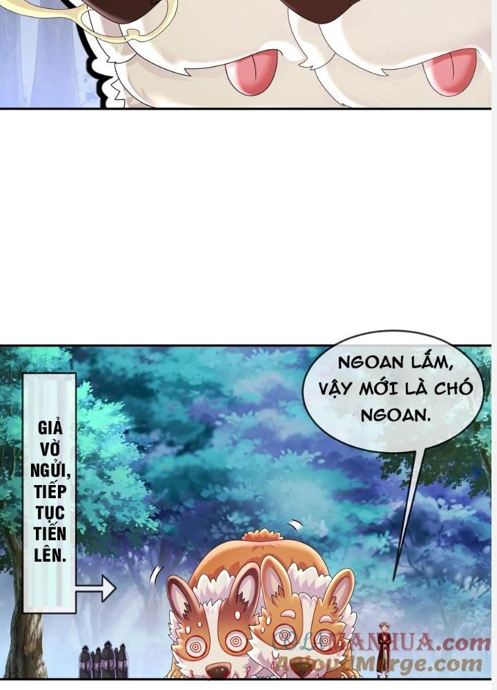 tuyệt sắc đạo lữ đều nói ngô hoàng có thể chất vô địch chapter 58 86