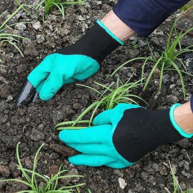 Găng tay có móng nhựa chuyên dùng xới đất làm vườn