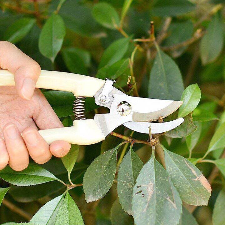 Kéo cắt bấm tỉa cành cây cao cấp sắc bén chuyên nghiệp, kéo làm vườn