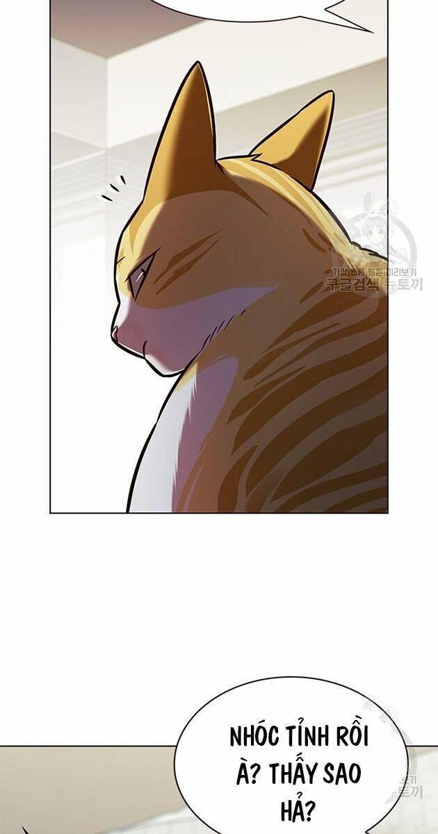 biến thân thành mèo chapter 214 73