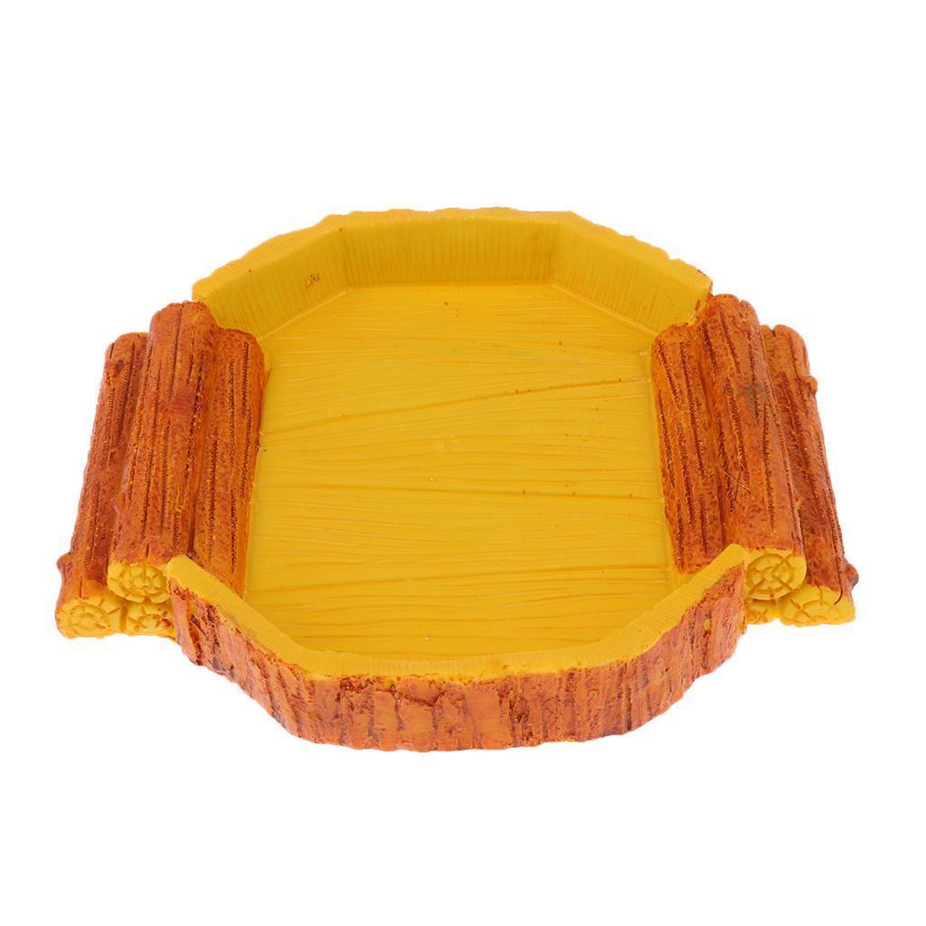 2Pcs Reptile Food Feed Dish Water Bowl for Tortoise Spider