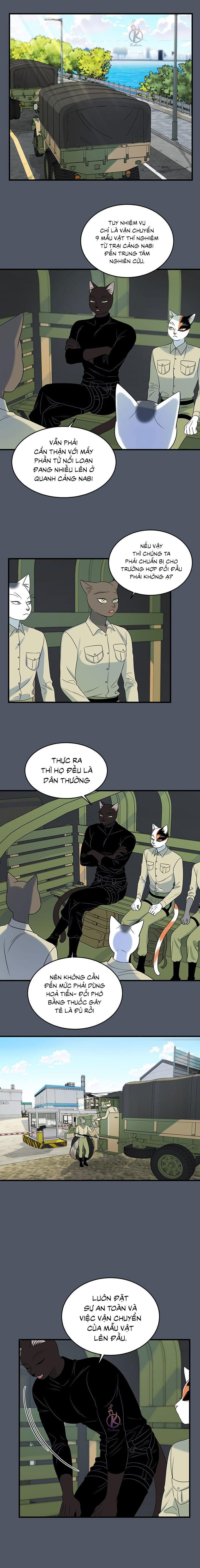 dự án xanh chapter 42 6