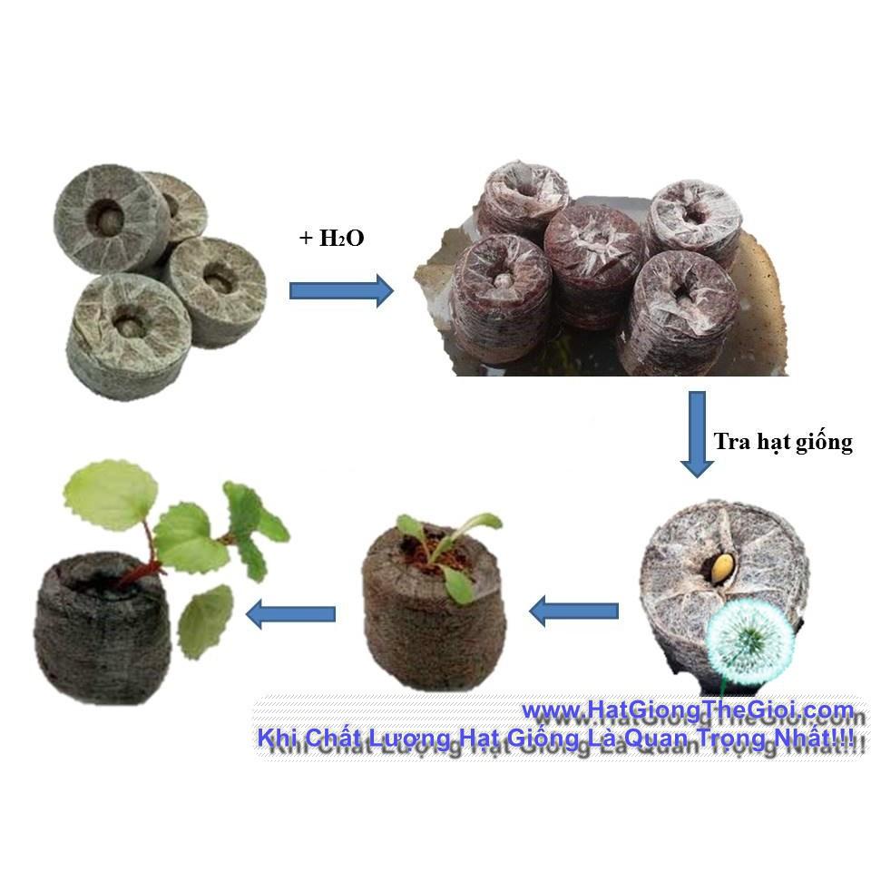 100 Viên Nén Nảy Mầm/ Viên Nén Xơ Dừa