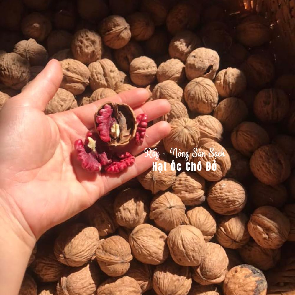 Hạt óc chó đỏ nhập khẩu Mỹ cao cấp, hạt dinh dưỡng ăn liền ăn kiêng ăn vặt an toàn