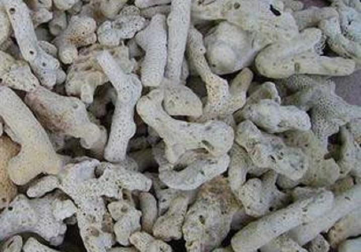Combo 1 máy sủi tích điện 1 vòi SOBO 168 + 100gram san hô lọc nước