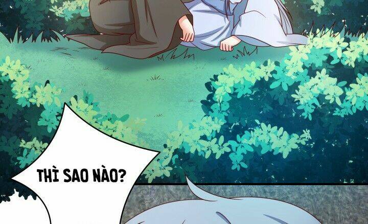 đô đốc đại nhân sủng thê kí chapter 2.2 71