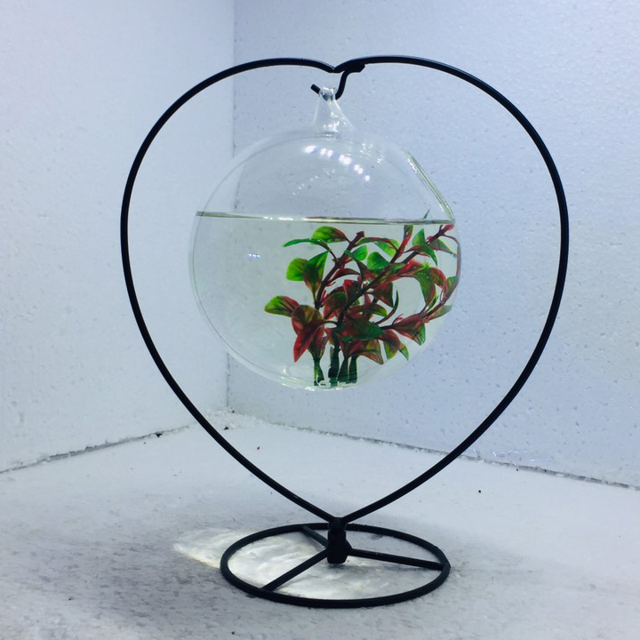 Bể cá mini để bàn Tim 16