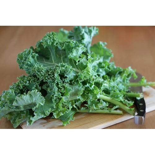 Gói 5g hạt giống cải xoăn xanh Kale