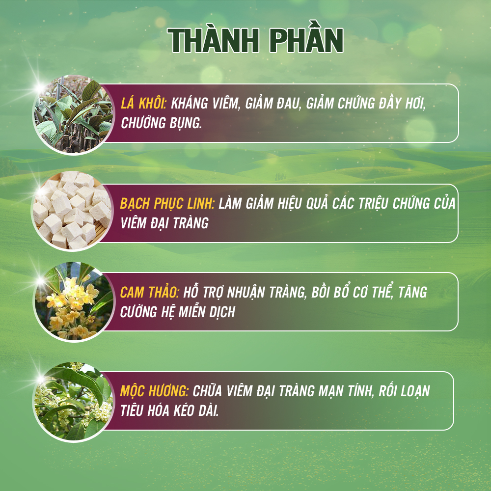 Combo 3 Viên Uống Giúp Tăng Cường Tiêu Hóa Giảm Các Biểu Hiện Của Viêm Đại Tràng - Đại Tràng Dân Khang Hộp 30 viên