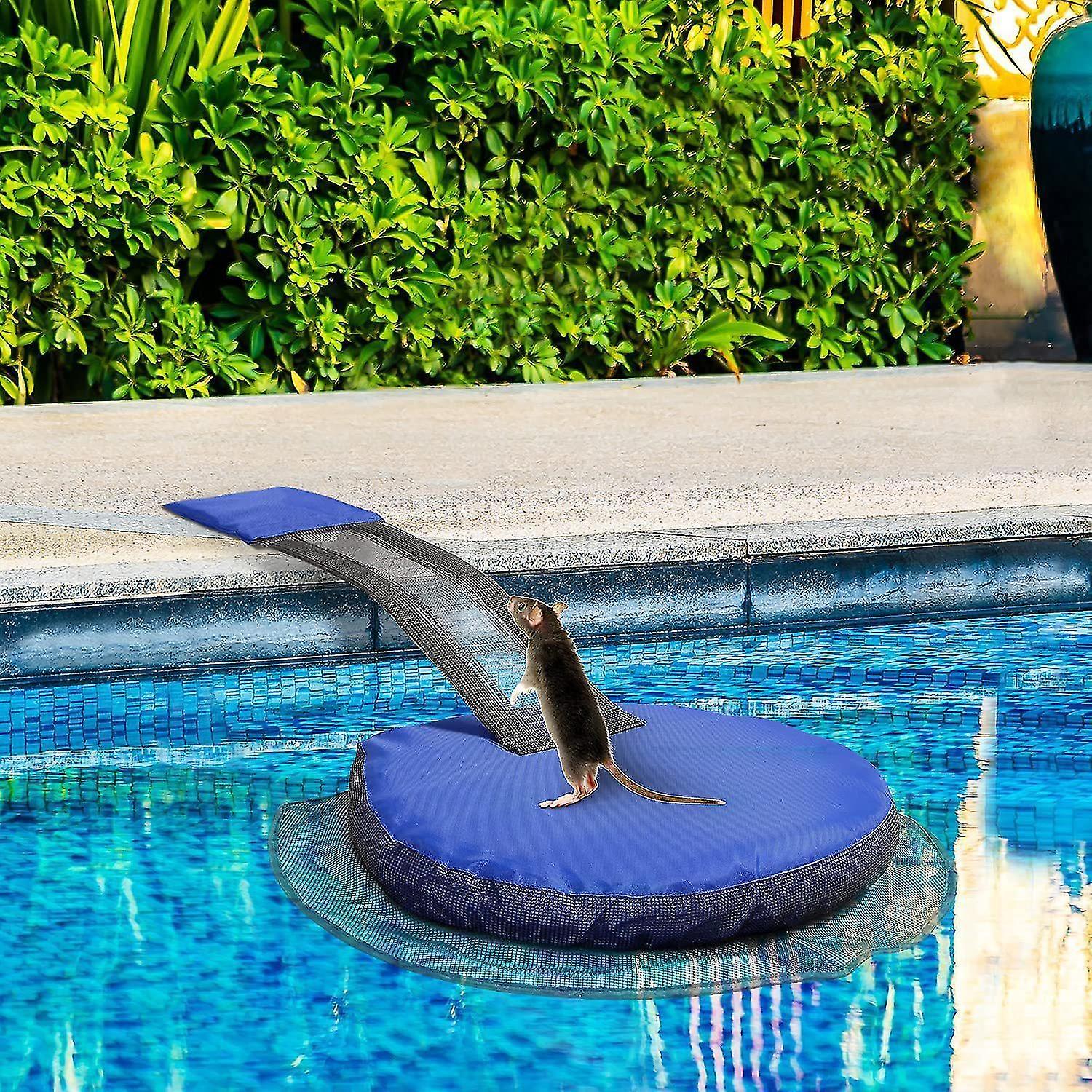 2 mảnh của cuộc sống -những cú thoát trong cuộc sống cho động vật, thoát khỏi sân cho động vật nhỏ, phụ kiện bể bơi