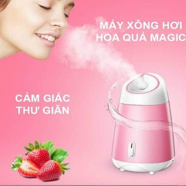 Máy xông hơi hoa quả Magic