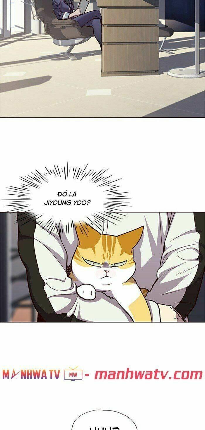 biến thân thành mèo chapter 24 14