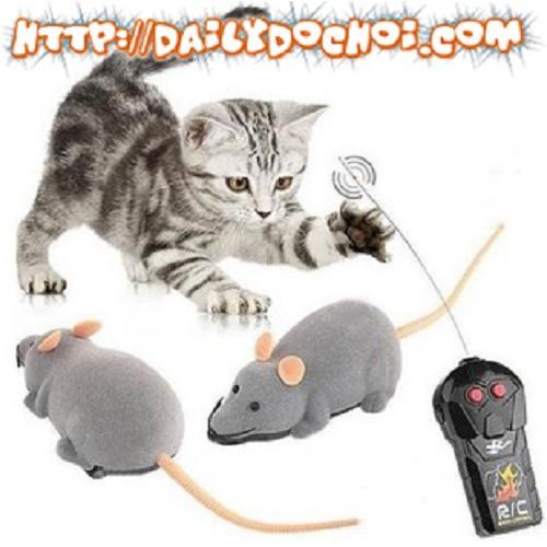 Chuột trêu ghẹo mèo pin thường AAA