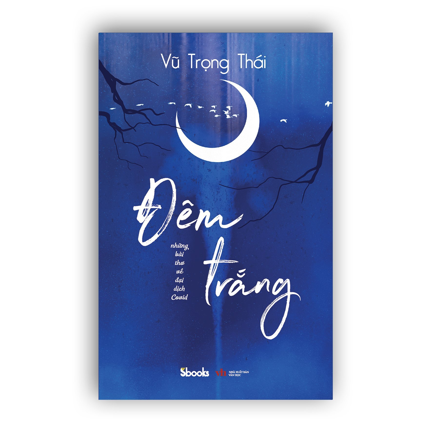 NHỮNG BÀI THƠ VỀ ĐẠI DỊCH COVID - ĐÊM TRẮNG