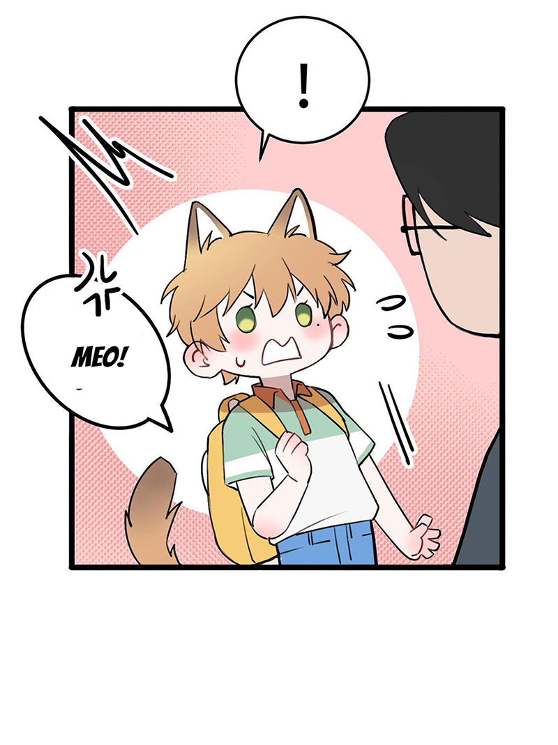 rốt cuộc bé mèo đang nghĩ gì ? chapter 14 68