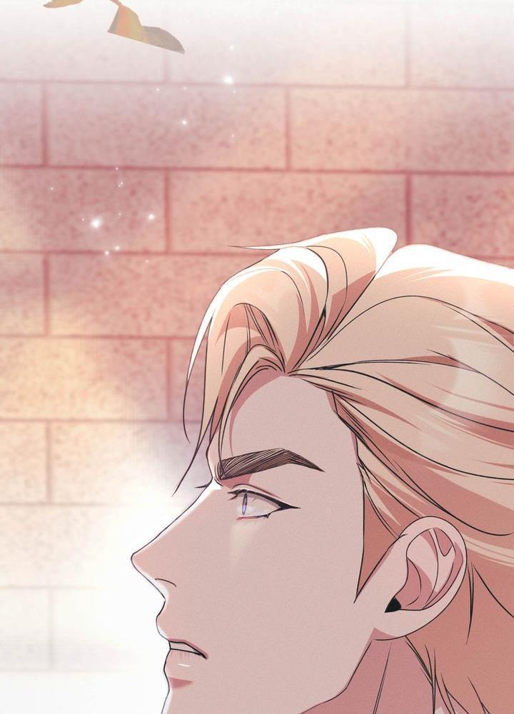 chấp nhận sự chiếm đoạt chapter 28 102