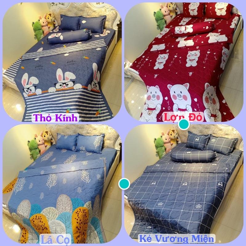 Bộ chăn hè ga gối 5 món Cotton poly - Nhiều mẫu lựa chọn , grap , ga chun , chăn ga gối , vỏ gối , chăn , mền