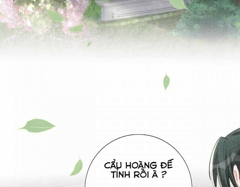 nhóc con người cá 3 tuổi rồi chapter 202 35