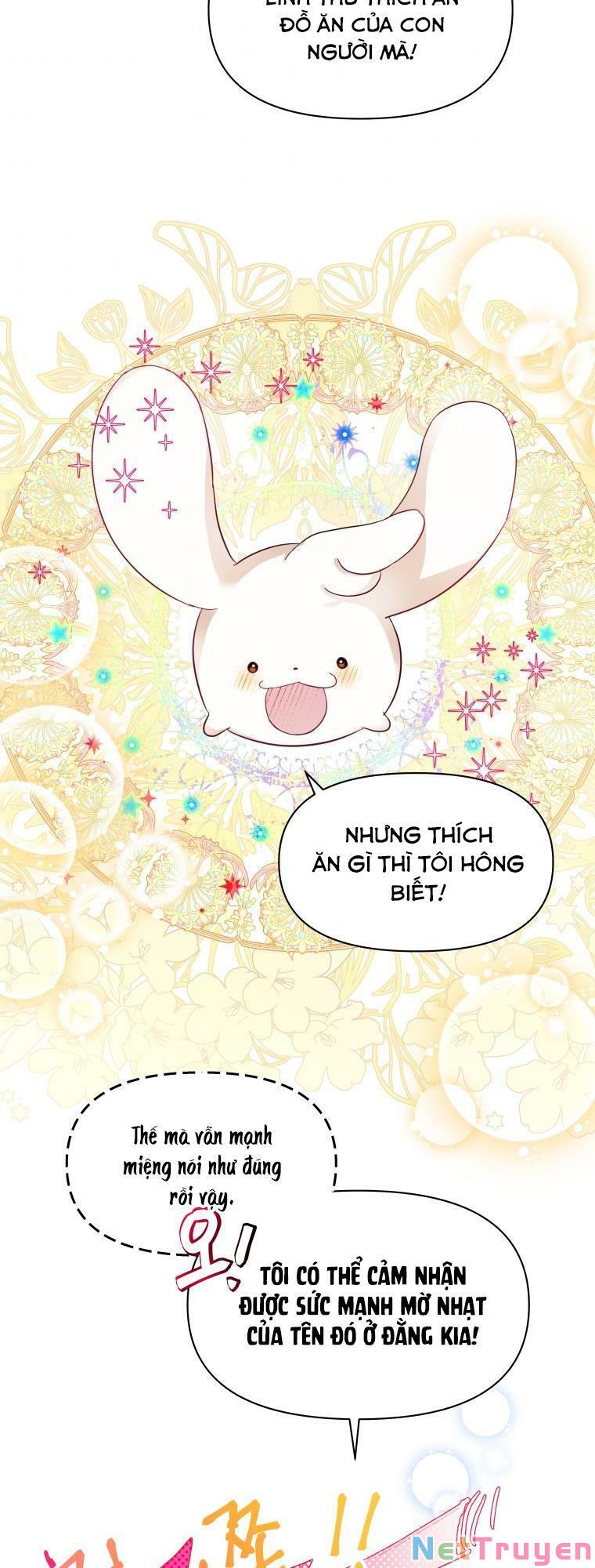 này tiểu công tước, hãy tin ở chị đi! chapter 8 7