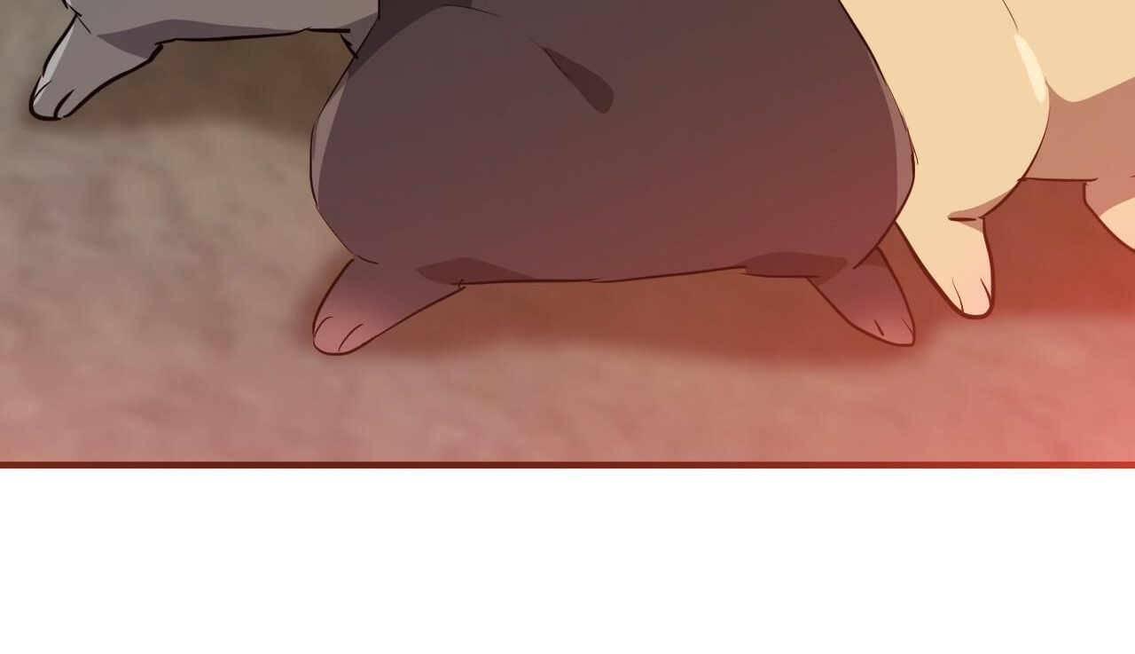 đàn thỏ của habibi chapter 48 279