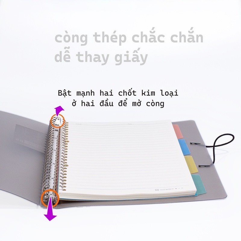 FUTUREBOOK-Sổ Còng Binder Aibasic B5 26 chấu, Kèm Ruột Giấy Refill-120 Trang - Định Lượng 100Gsm-Dòng kẻ Caro_Kẻ Ngang