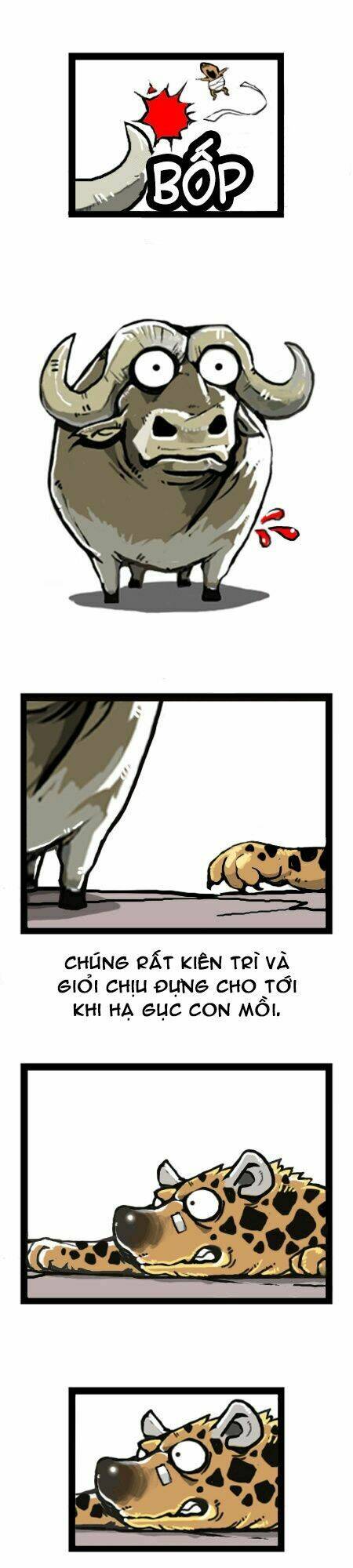 earth, human, and animal chapter 9 15