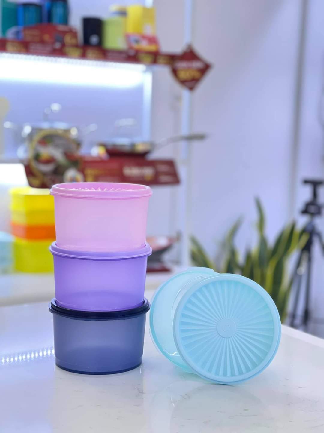 Bộ 4 hộp bảo quản thực phẩm Midi Deco