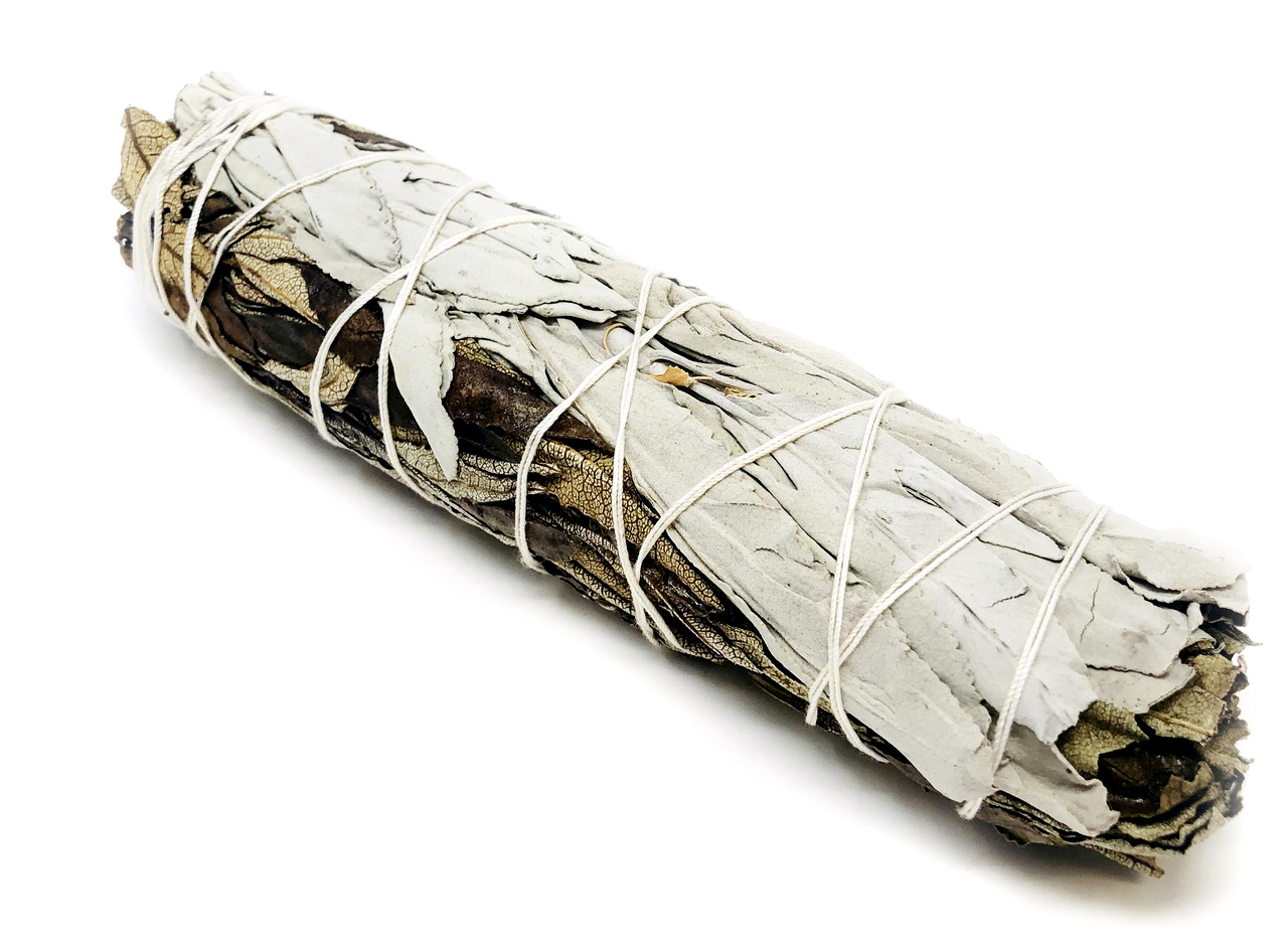 Bó lá xô thơm trắng và lá thánh (white sage + Yerba Santa)