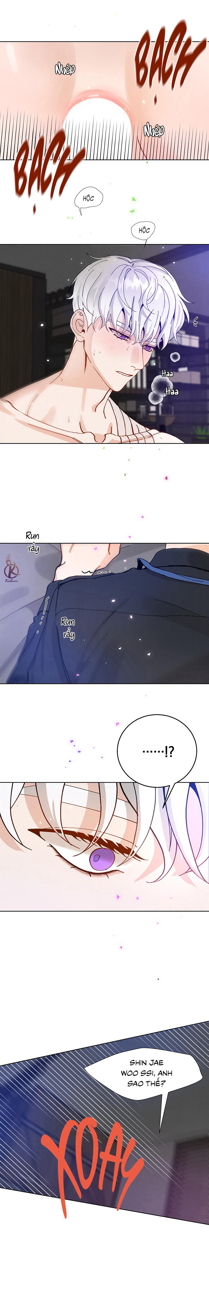 hòa hợp chapter 2.5 5