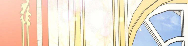 tôi sẽ cố gắng bảo vệ em gái chapter 26 587