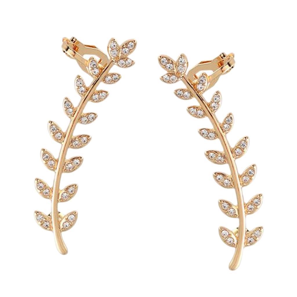Earrings Ear Studs