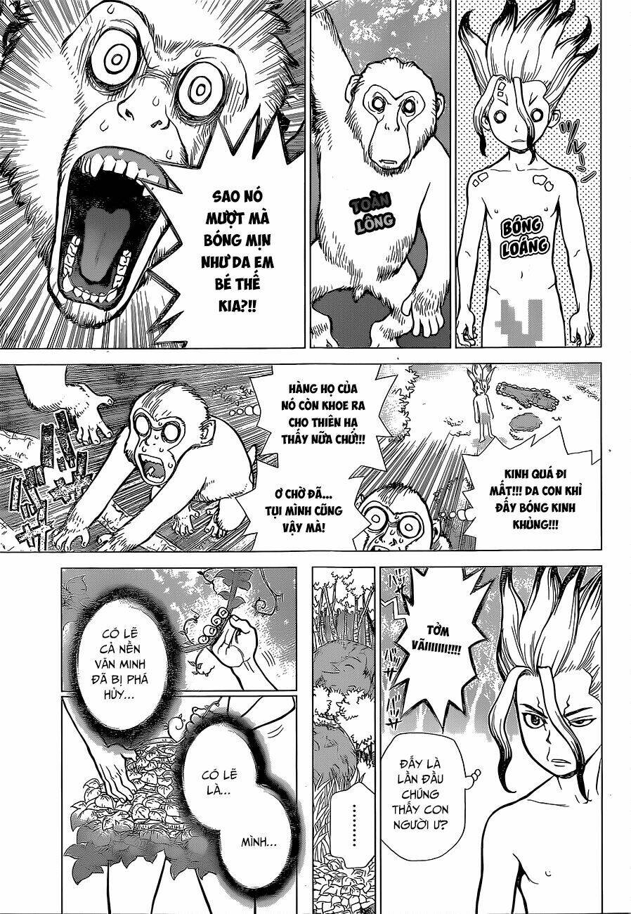 dr.stone - hồi sinh thế giới chapter 13 6
