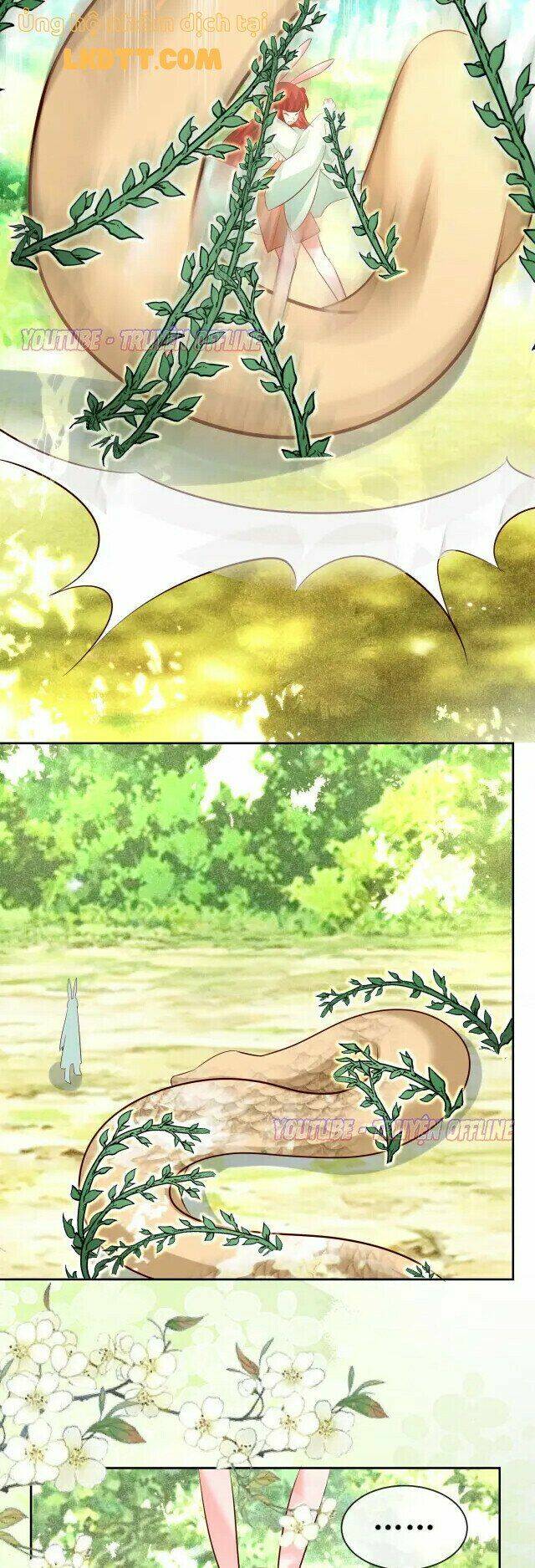 hắc hóa nam chính trực tuyến nuôi thỏ chapter 30 17