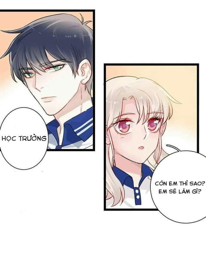 những bức thư tình của sơ hạ chapter 1 29