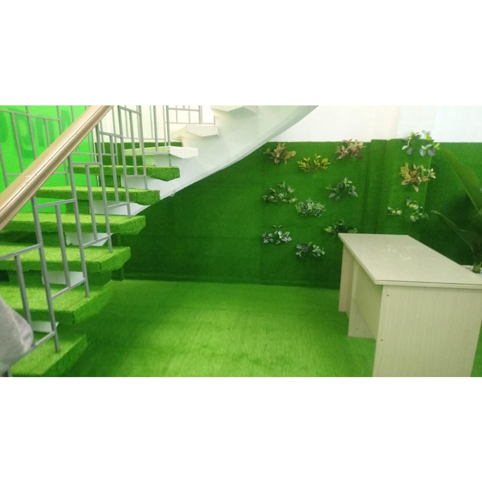 Thảm cỏ nhân tạo sân vườn cao 2cm combo 5m2