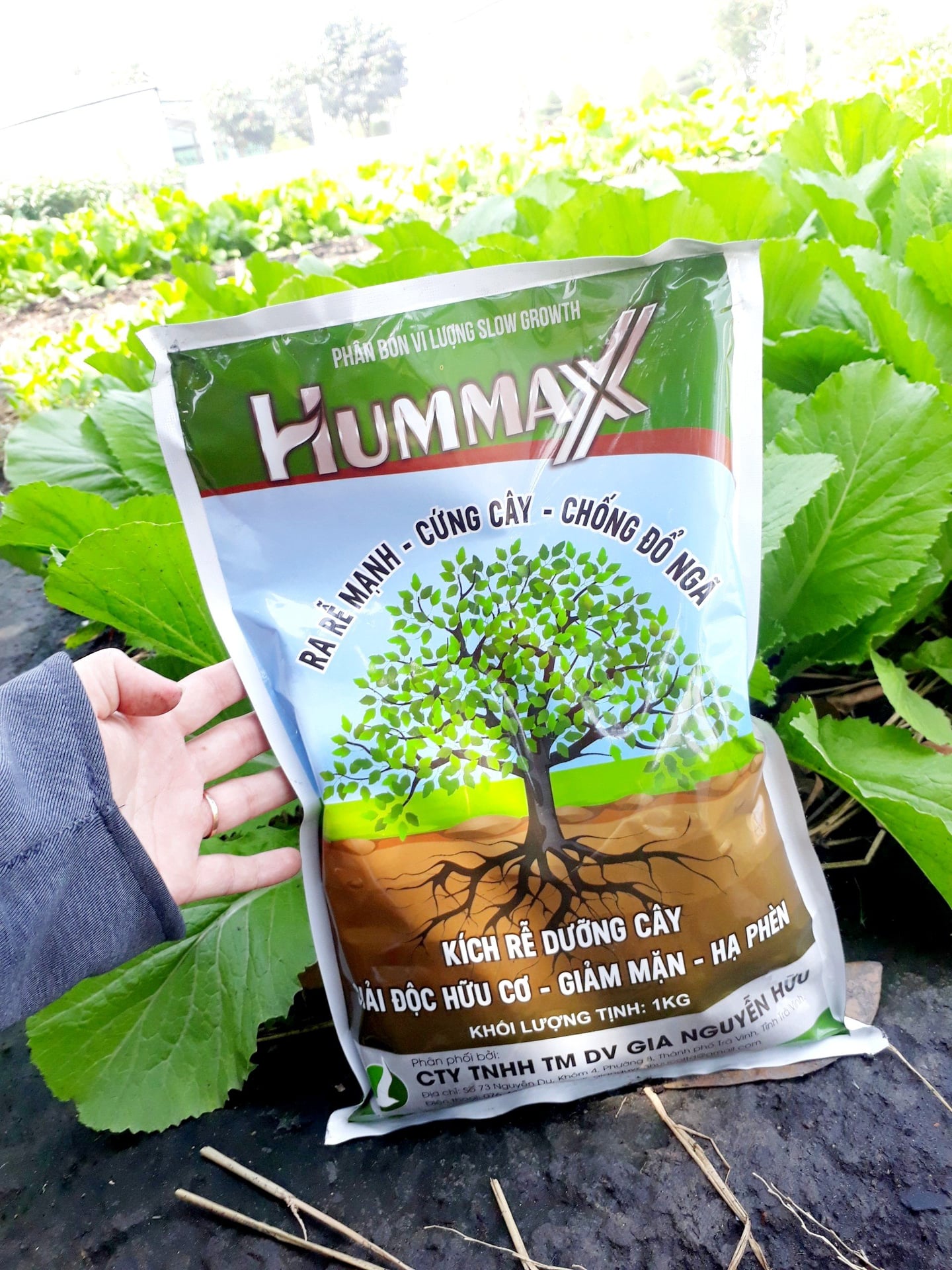 HUMMAX - Ra rễ mạnh, cứng cây - Giúp cây ra đọt non mạnh, đẻ nhánh cực khỏe, lá xanh mướt, bóng dày.