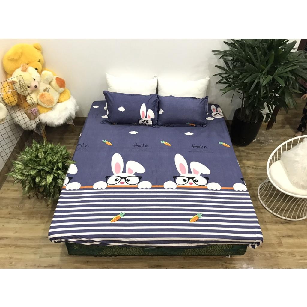 Set ga 3 món 1 ga chun và 2 vỏ gối các kích thước