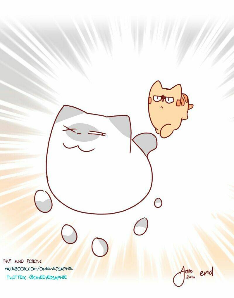 saphie: chú mèo một mắt chapter 22 11