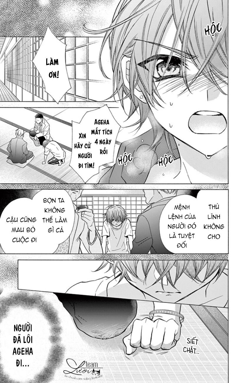 chàng rể giả nhân giả nghĩa chapter 17 4