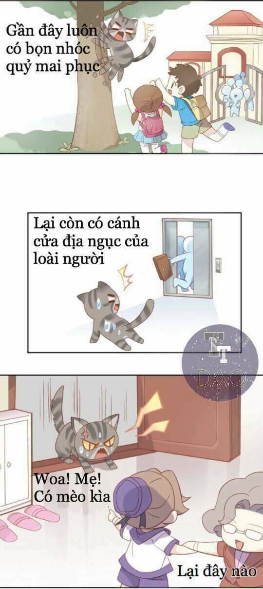 dưới móng vuốt mèo chapter 2 9