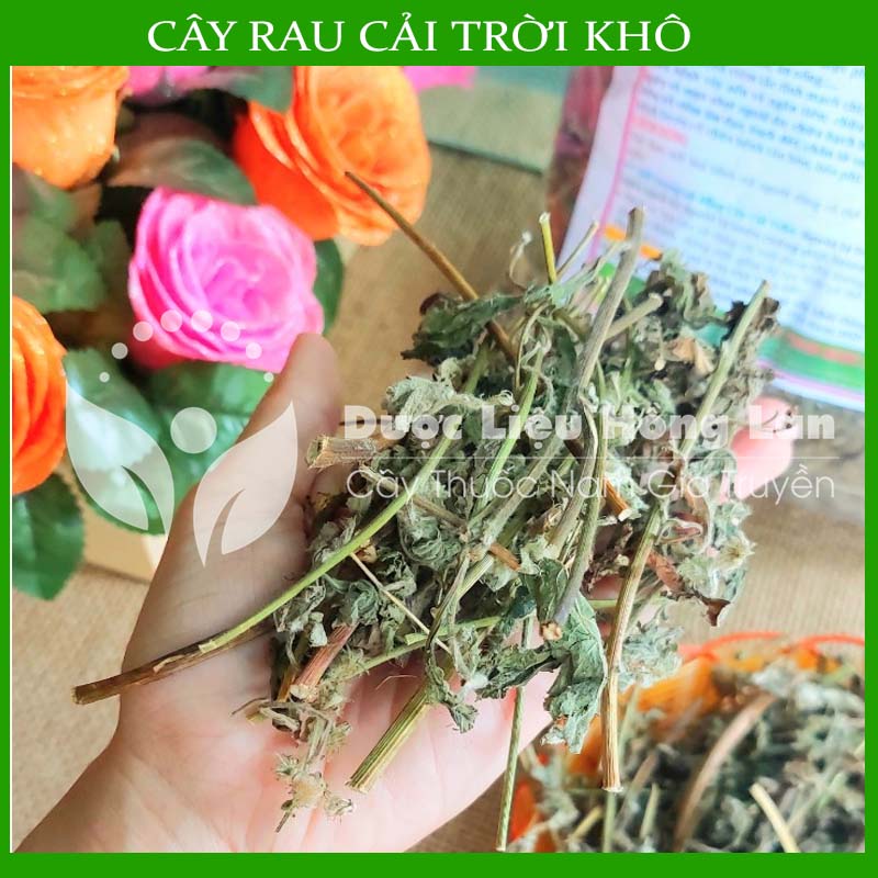 Cây Rau Cải Trời khô 1kg (Hàng Công Ty)