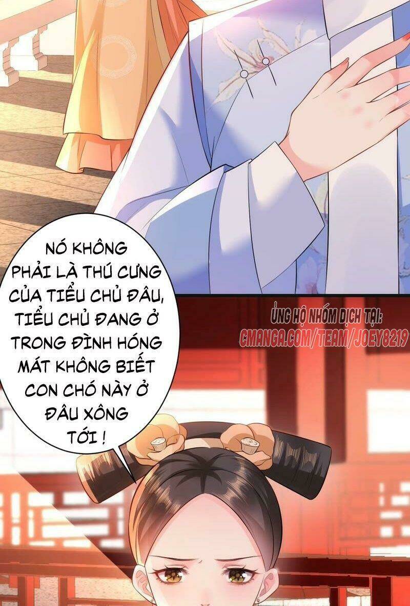 quận chúa vững vàng, thiết lập nhân vật không thể vỡ chapter 55 45