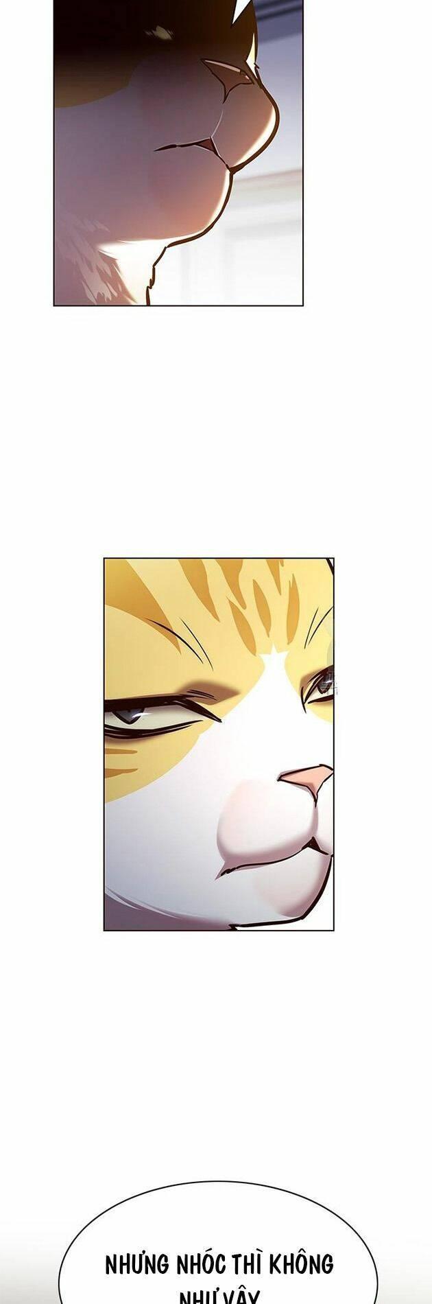 biến thân thành mèo chapter 214 83