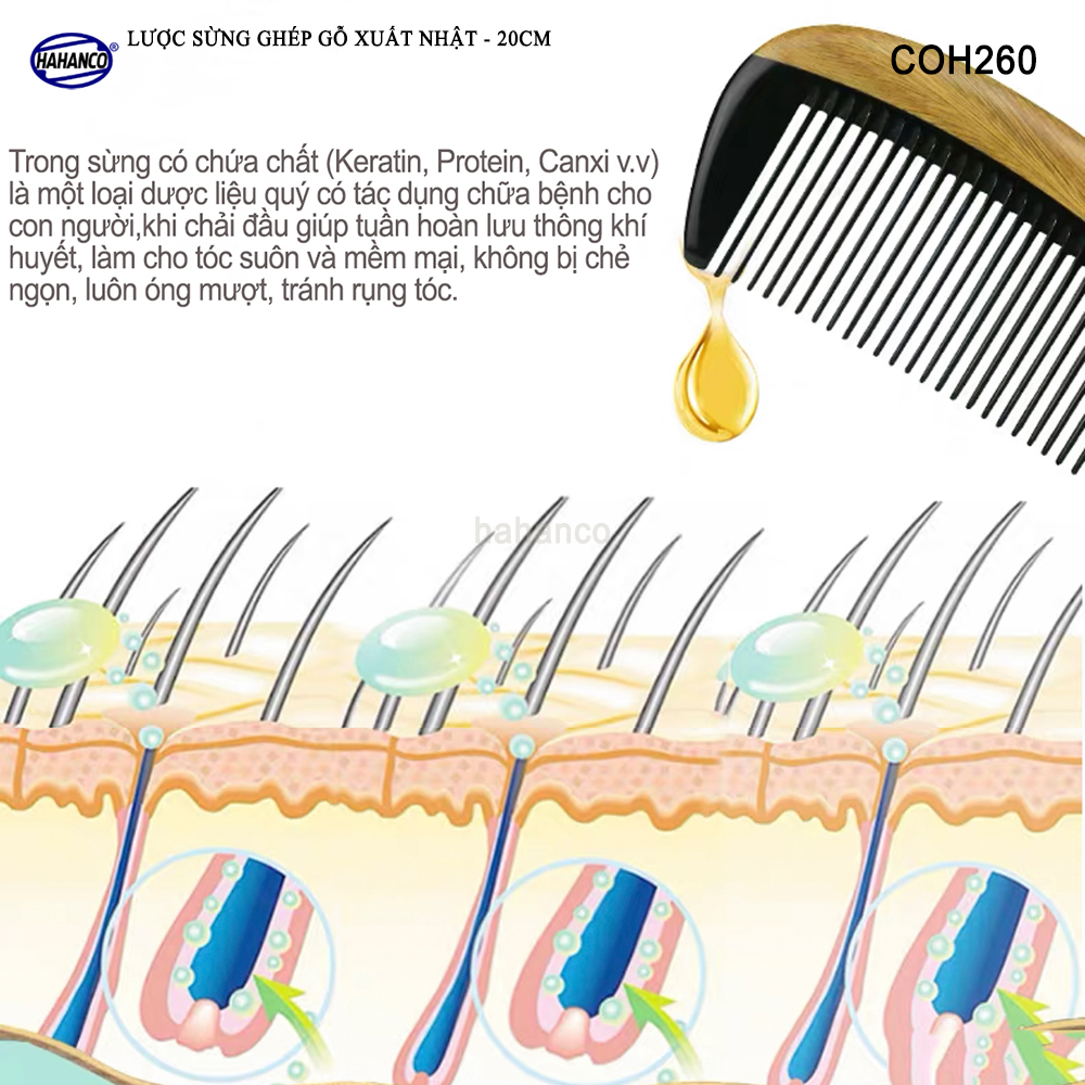 Lược gỗ tự nhiên ghép răng sừng Trâu - Chống tích điện/ dáng lược Châu Âu (COH260).