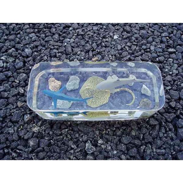 Thùng 15 Kg Keo Epoxy Resin Đổ Khối E21AB - Trường Thịnh Sài Gòn