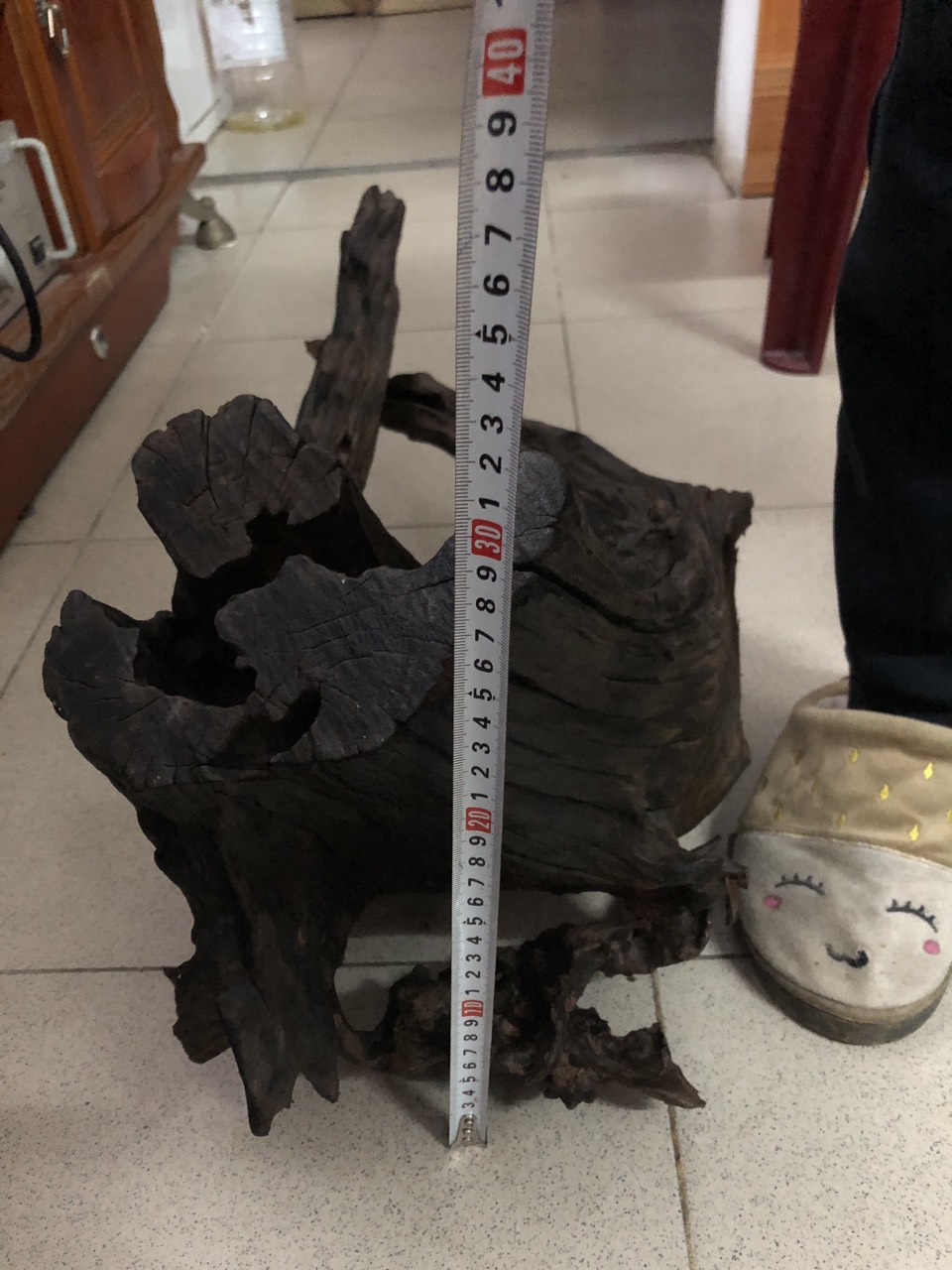 Gỗ lũa lội ghép lan hàng rừng dài 55 cao 30 rộng 30 cm