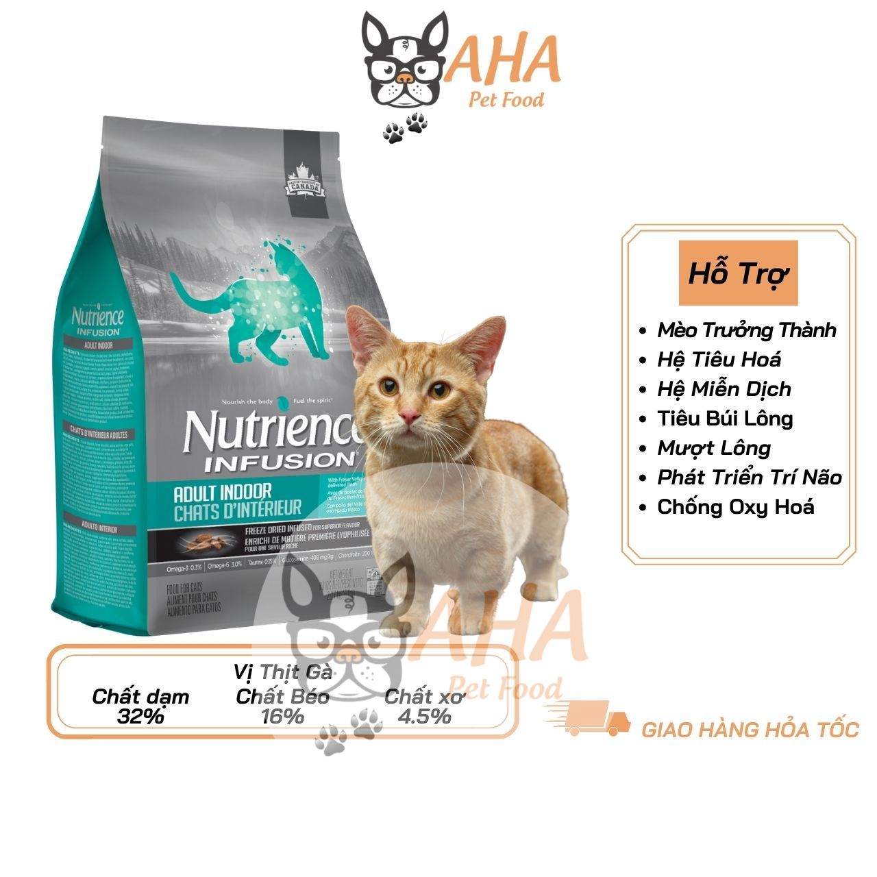 Thức Ăn Cho Mèo Con Nutrience Original Bao 2,5kg Phát Triển Trí Não - Thịt Gà, Dầu Cá Hồi DHA Giúp Da Lông Bóng Mượt